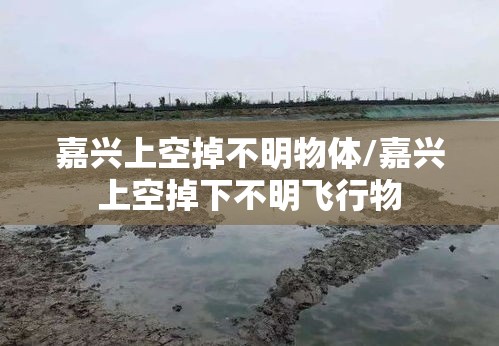 嘉兴上空掉不明物体/嘉兴上空掉下不明飞行物 嘉兴上空掉不明物体/嘉兴上空掉下不明飞行物
