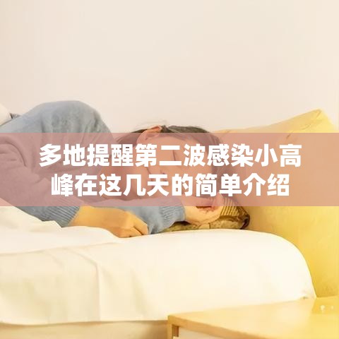 多地提醒第二波感染小高峰在这几天的简单介绍 多地提醒第二波感染小高峰在这几天的简单介绍