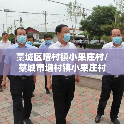 藁城区增村镇小果庄村/藁城市增村镇小果庄村 藁城区增村镇小果庄村/藁城市增村镇小果庄村