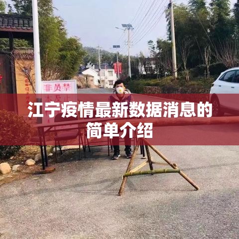 江宁疫情最新数据消息的简单介绍 江宁疫情最新数据消息的简单介绍