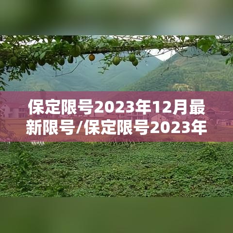 保定限号2023年12月最新限号/保定限号2023年12月最新限号查询 保定限号2023年12月最新限号/保定限号2023年12月最新限号查询