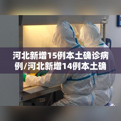 河北新增15例本土确诊病例/河北新增14例本土确诊病例行程 河北新增15例本土确诊病例/河北新增14例本土确诊病例行程