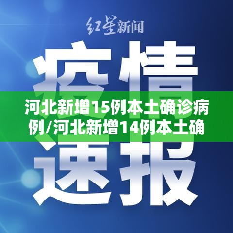 河北新增15例本土确诊病例/河北新增14例本土确诊病例行程 河北新增15例本土确诊病例/河北新增14例本土确诊病例行程
