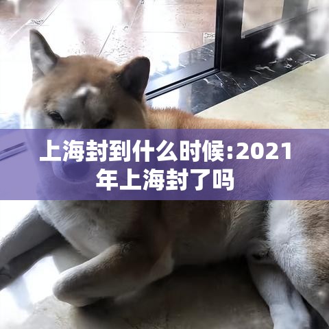 上海封到什么时候:2021年上海封了吗 上海封到什么时候:2021年上海封了吗