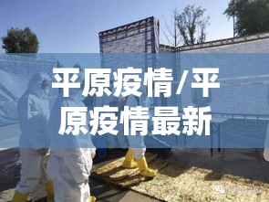 平原疫情/平原疫情最新消息新增2例 平原疫情/平原疫情最新消息新增2例