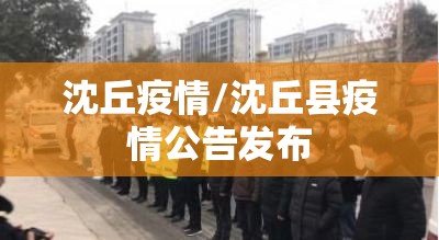 沈丘疫情/沈丘县疫情公告发布 沈丘疫情/沈丘县疫情公告发布