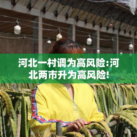 河北一村调为高风险:河北两市升为高风险! 河北一村调为高风险:河北两市升为高风险!