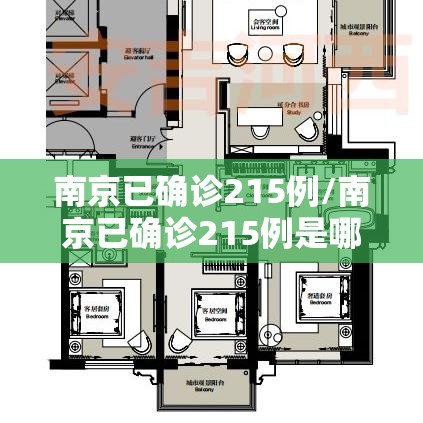 南京已确诊215例/南京已确诊215例是哪里的 南京已确诊215例/南京已确诊215例是哪里的