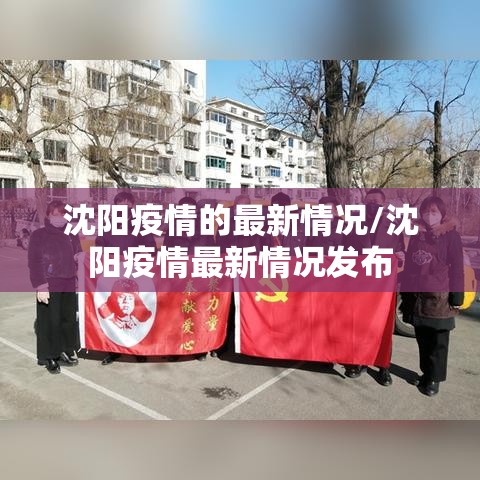 沈阳疫情的最新情况/沈阳疫情最新情况发布 沈阳疫情的最新情况/沈阳疫情最新情况发布