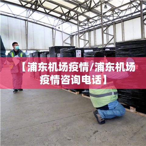 【浦东机场疫情/浦东机场疫情咨询电话】 【浦东机场疫情/浦东机场疫情咨询电话】