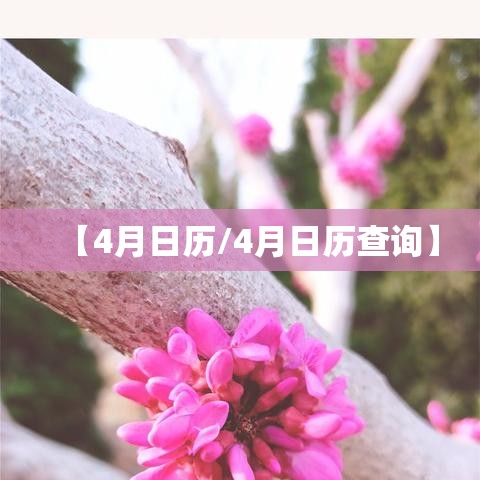 【4月日历/4月日历查询】 【4月日历/4月日历查询】