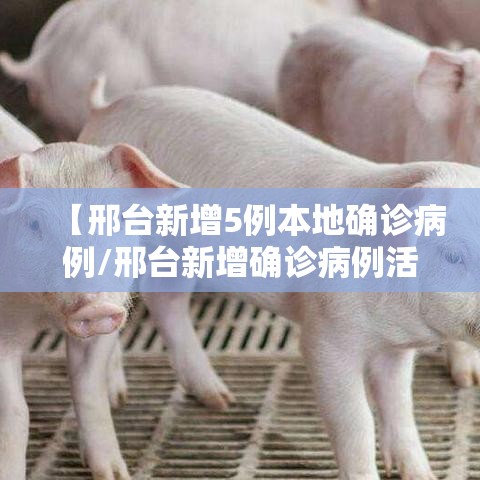 【邢台新增5例本地确诊病例/邢台新增确诊病例活动轨迹】 【邢台新增5例本地确诊病例/邢台新增确诊病例活动轨迹】