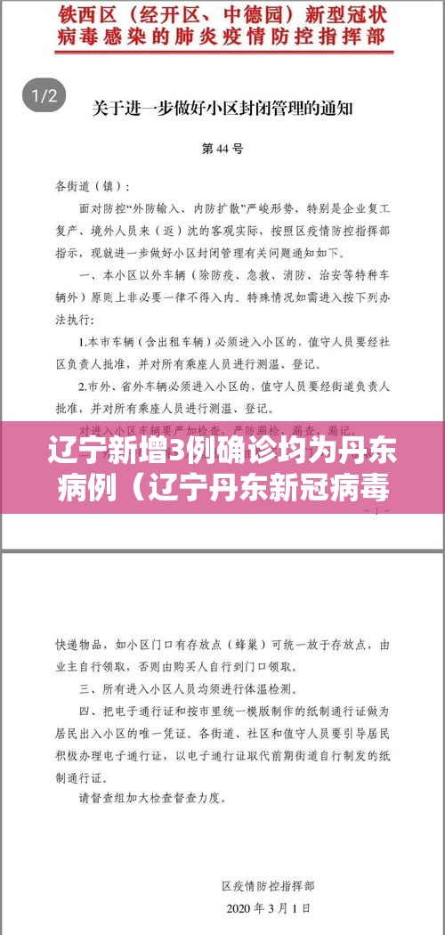 辽宁新增3例确诊均为丹东病例(辽宁丹东新冠病毒最新消息) 辽宁新增3例确诊均为丹东病例(辽宁丹东新冠病毒最新消息)
