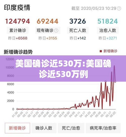 美国确诊近530万:美国确诊近530万例 美国确诊近530万:美国确诊近530万例
