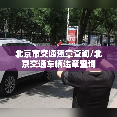 北京市交通违章查询/北京交通车辆违章查询 北京市交通违章查询/北京交通车辆违章查询