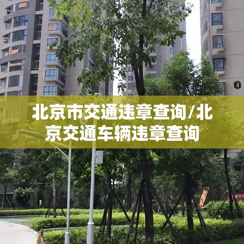 北京市交通违章查询/北京交通车辆违章查询 北京市交通违章查询/北京交通车辆违章查询