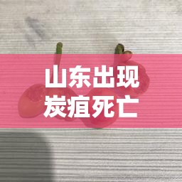 山东出现炭疽死亡病例/山东 炭疽死亡 山东出现炭疽死亡病例/山东 炭疽死亡