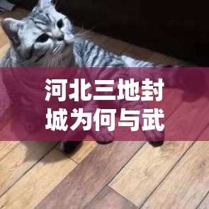 河北三地封城为何与武汉不同(河北到底封城没有) 河北三地封城为何与武汉不同(河北到底封城没有)