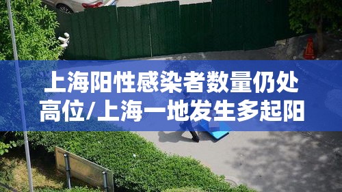 上海阳性感染者数量仍处高位/上海一地发生多起阳性病例?假的