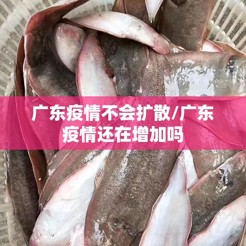 广东疫情不会扩散/广东疫情还在增加吗 广东疫情不会扩散/广东疫情还在增加吗