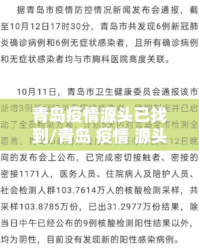 青岛疫情源头已找到/青岛 疫情 源头 青岛疫情源头已找到/青岛 疫情 源头