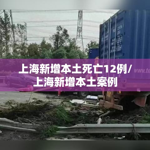 上海新增本土死亡12例/上海新增本土案例 上海新增本土死亡12例/上海新增本土案例