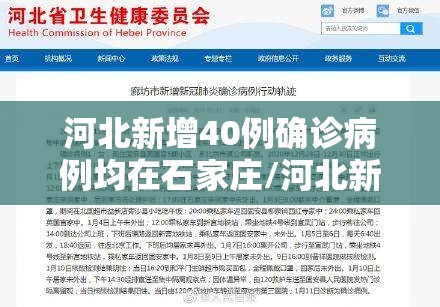 河北新增40例确诊病例均在石家庄/河北新增40例确诊病例均在石家庄吗 河北新增40例确诊病例均在石家庄/河北新增40例确诊病例均在石家庄吗