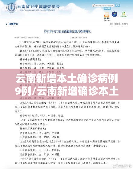 云南新增本土确诊病例9例/云南新增确诊本土7例 云南新增本土确诊病例9例/云南新增确诊本土7例