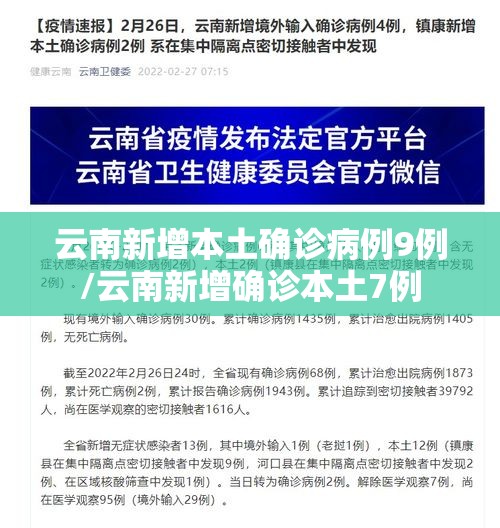 云南新增本土确诊病例9例/云南新增确诊本土7例 云南新增本土确诊病例9例/云南新增确诊本土7例