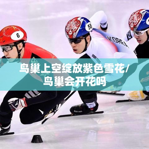鸟巢上空绽放紫色雪花/鸟巢会开花吗 鸟巢上空绽放紫色雪花/鸟巢会开花吗