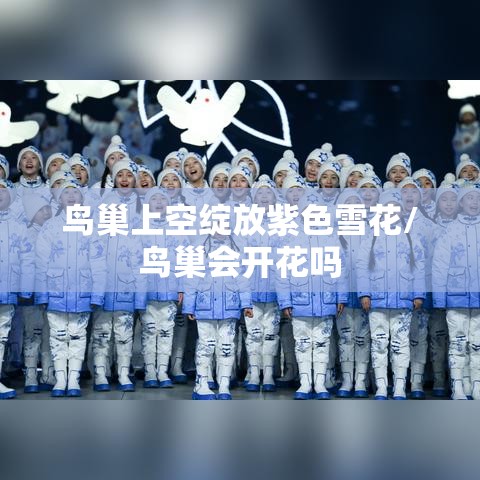 鸟巢上空绽放紫色雪花/鸟巢会开花吗 鸟巢上空绽放紫色雪花/鸟巢会开花吗
