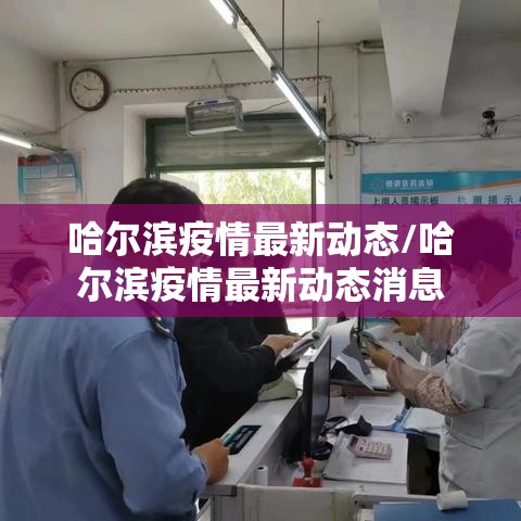 哈尔滨疫情最新动态/哈尔滨疫情最新动态消息 哈尔滨疫情最新动态/哈尔滨疫情最新动态消息