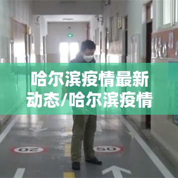 哈尔滨疫情最新动态/哈尔滨疫情最新动态消息 哈尔滨疫情最新动态/哈尔滨疫情最新动态消息