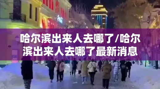 哈尔滨出来人去哪了/哈尔滨出来人去哪了最新消息 哈尔滨出来人去哪了/哈尔滨出来人去哪了最新消息