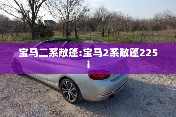 宝马二系敞篷:宝马2系敞篷225i 宝马二系敞篷:宝马2系敞篷225i