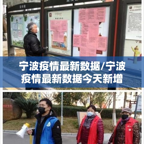 宁波疫情最新数据/宁波疫情最新数据今天新增
