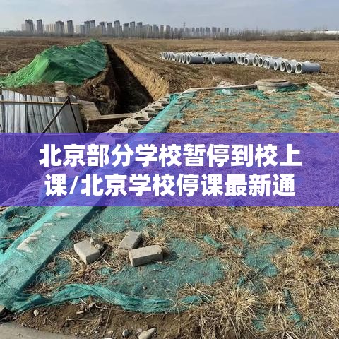 北京部分学校暂停到校上课/北京学校停课最新通知 北京部分学校暂停到校上课/北京学校停课最新通知