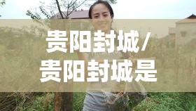 贵阳封城/贵阳封城是哪年 贵阳封城/贵阳封城是哪年