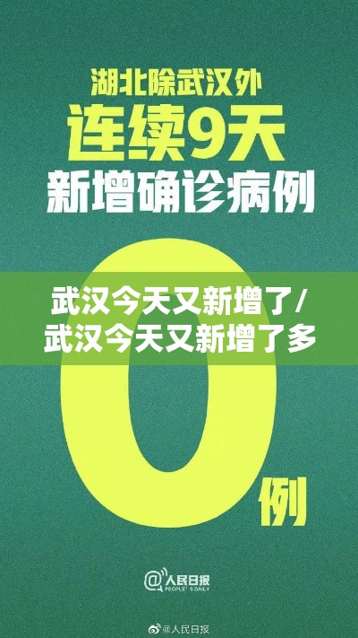 武汉今天又新增了/武汉今天又新增了多少病例 武汉今天又新增了/武汉今天又新增了多少病例
