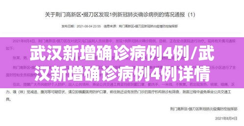 武汉新增确诊病例4例/武汉新增确诊病例4例详情 武汉新增确诊病例4例/武汉新增确诊病例4例详情