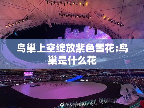 鸟巢上空绽放紫色雪花:鸟巢是什么花 鸟巢上空绽放紫色雪花:鸟巢是什么花