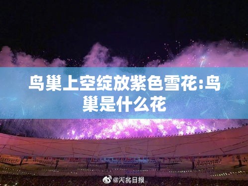 鸟巢上空绽放紫色雪花:鸟巢是什么花 鸟巢上空绽放紫色雪花:鸟巢是什么花