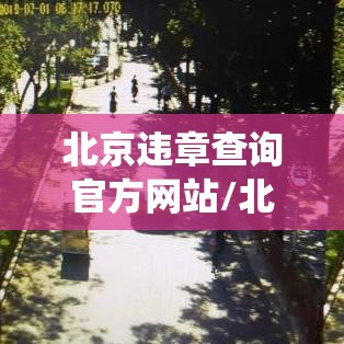 北京违章查询官方网站/北京违章查询系统12123官网 北京违章查询官方网站/北京违章查询系统12123官网