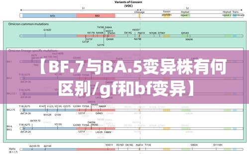 【BF.7与BA.5变异株有何区别/gf和bf变异】 【BF.7与BA.5变异株有何区别/gf和bf变异】