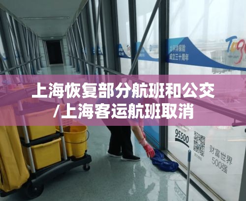 上海恢复部分航班和公交/上海客运航班取消