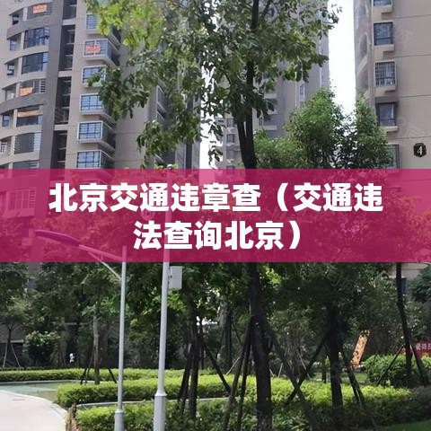 北京交通违章查(交通违法查询北京) 北京交通违章查(交通违法查询北京)