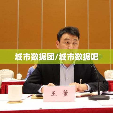 城市数据团/城市数据吧