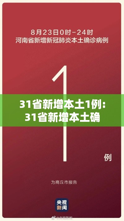 31省新增本土1例:31省新增本土确