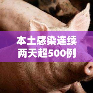 本土感染连续两天超500例涉16省份(31省连续2天本土0新增) 本土感染连续两天超500例涉16省份(31省连续2天本土0新增)