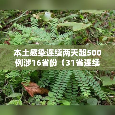 本土感染连续两天超500例涉16省份(31省连续2天本土0新增) 本土感染连续两天超500例涉16省份(31省连续2天本土0新增)